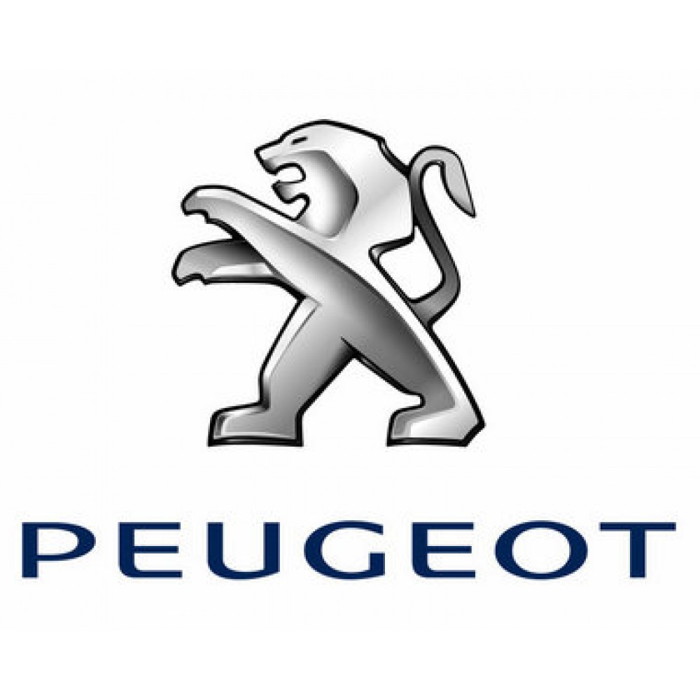 Peugeot alkatrész